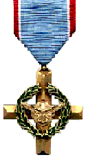 Air Force Cross Picture